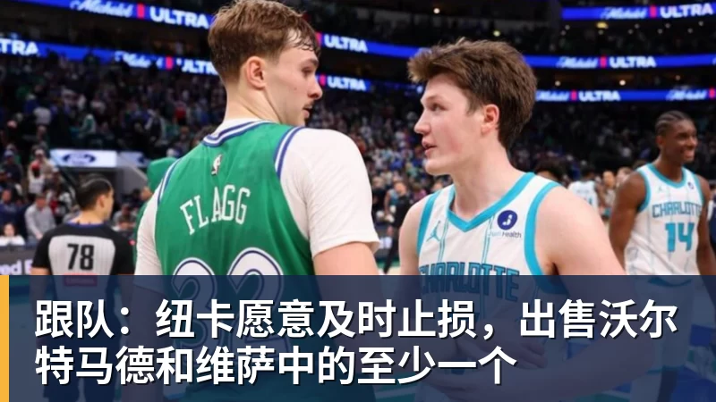 乐虎体育跟队：纽卡愿意及时止损，出售沃尔特马德和维萨中的至少一个